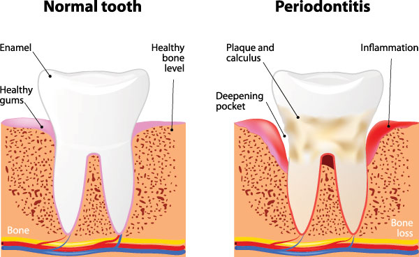 Noboa Dentistry